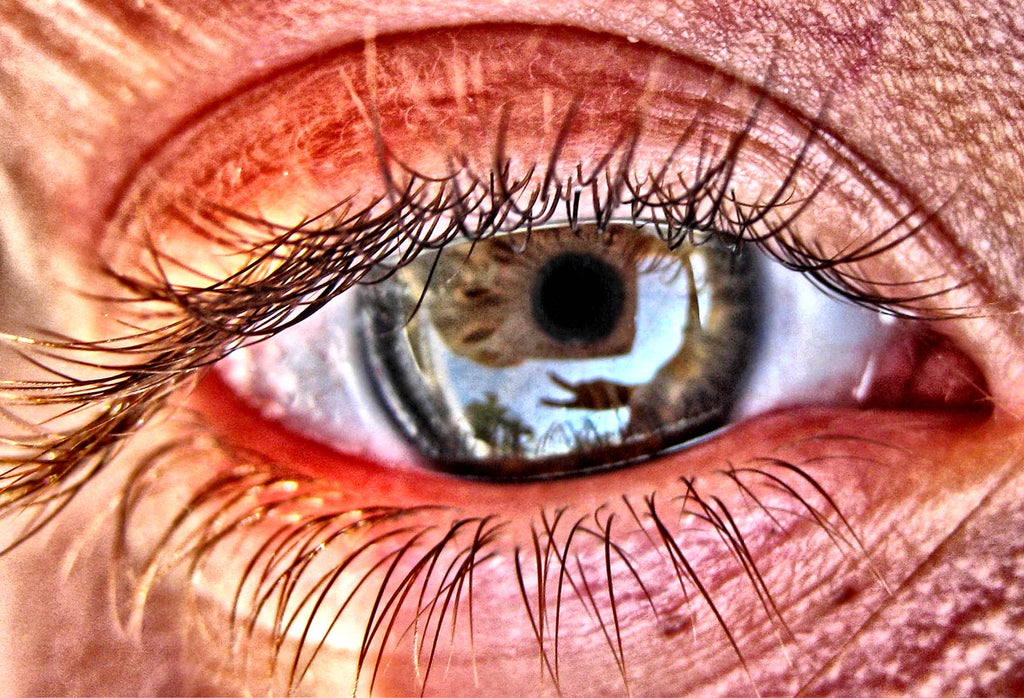 Macro Photography